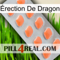 Érection De Dragon 26